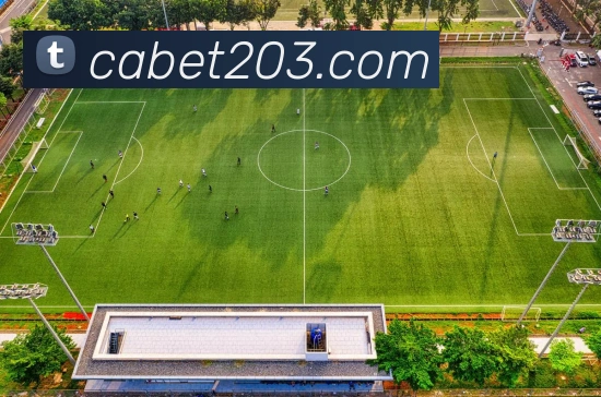 ca亚洲城APP 封面图